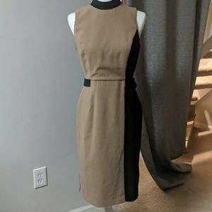 Tan and Black Sheath Dress WHBM
